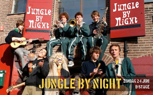 Jungle by Night