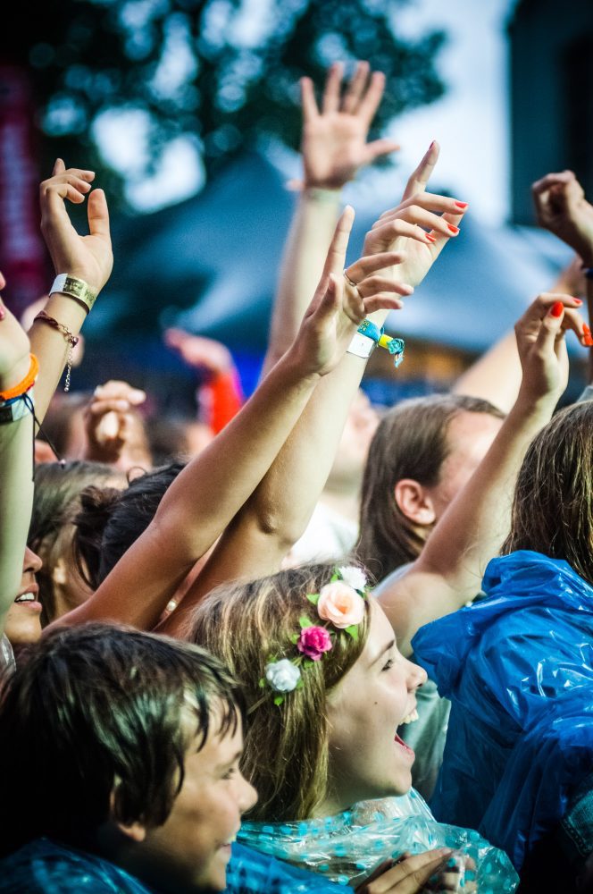 Publiek met handen in de lucht tijdens ParkCity Live, Heerlen 5 juli 2014